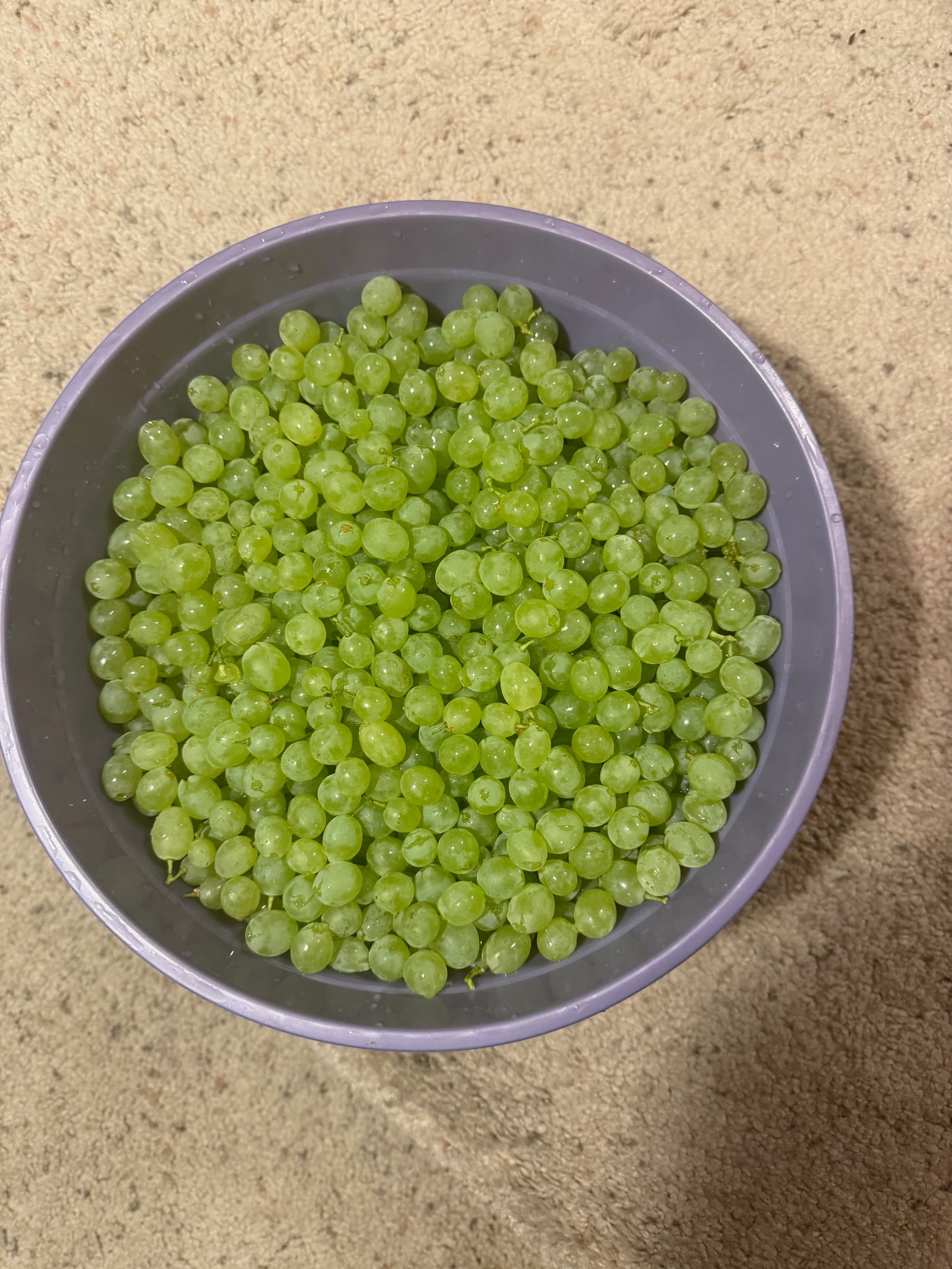Grapes at Our Fremont Farm