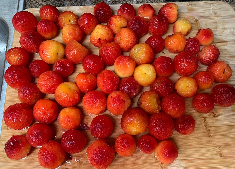 Cover Image for Plums Galore!